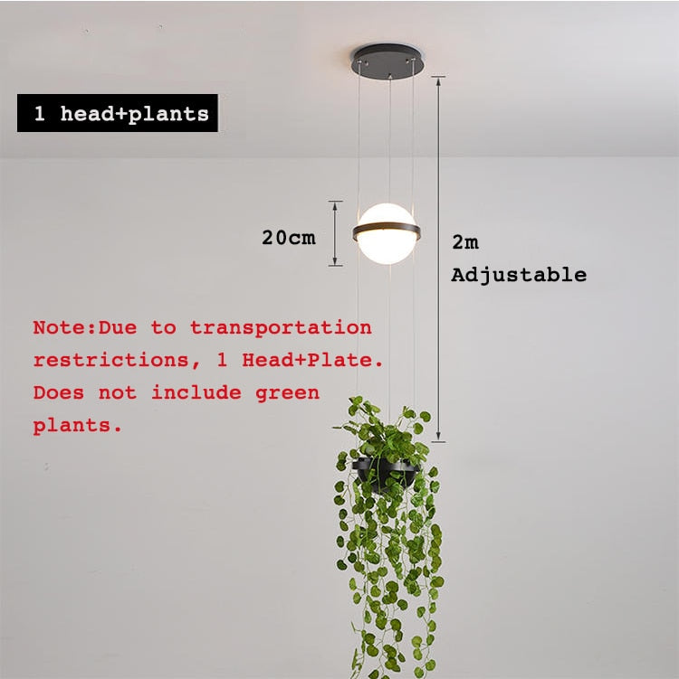 Diano Japandi Planet Collection Garden Frosted Glass Moon Pendant Light