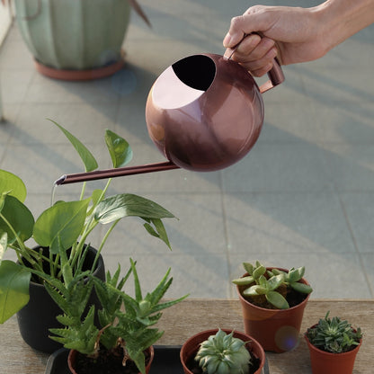 1L Stainless Steel Decorative Watering Pot