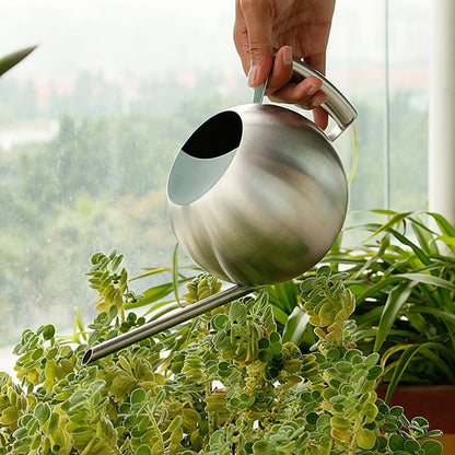 1L Stainless Steel Decorative Watering Pot